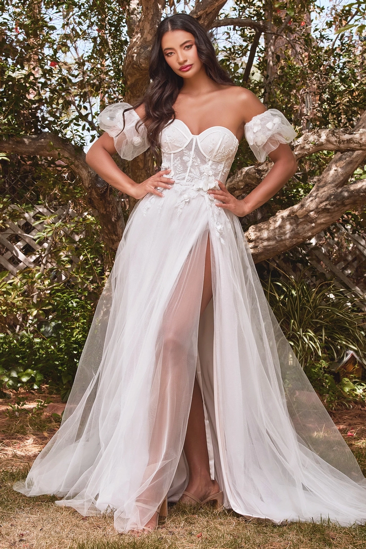 Ladivine by Cinderella Divine Style #CB080W #1 frontface vertical picture