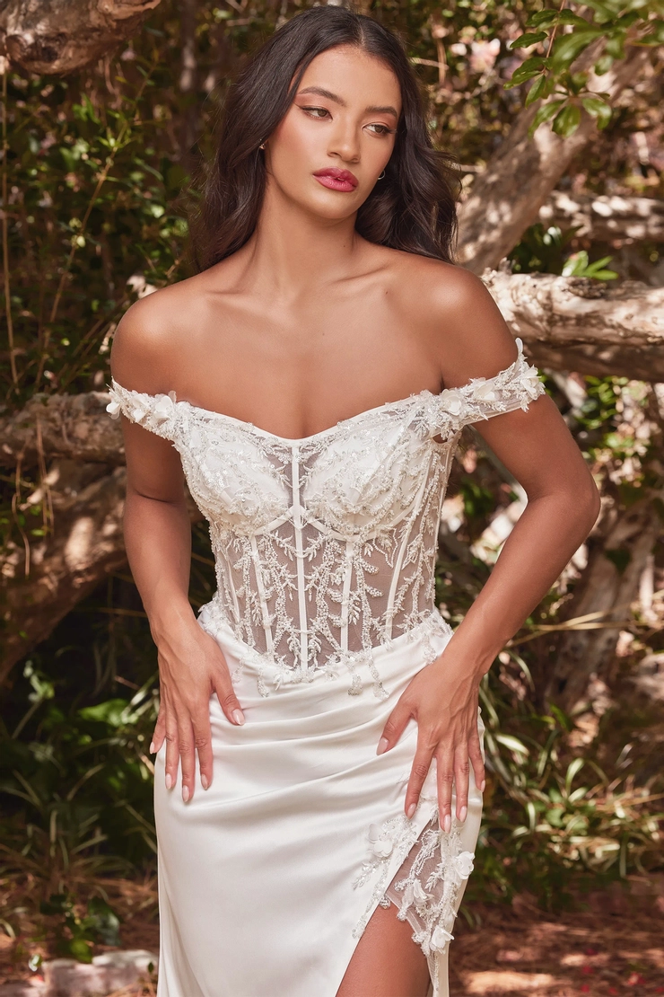 Ladivine by Cinderella Divine Style #CD0186W #5 frontface vertical cropped picture