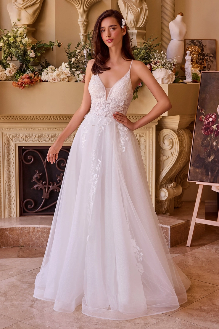 Ladivine by Cinderella Divine Style #CD792W #1 frontface vertical picture