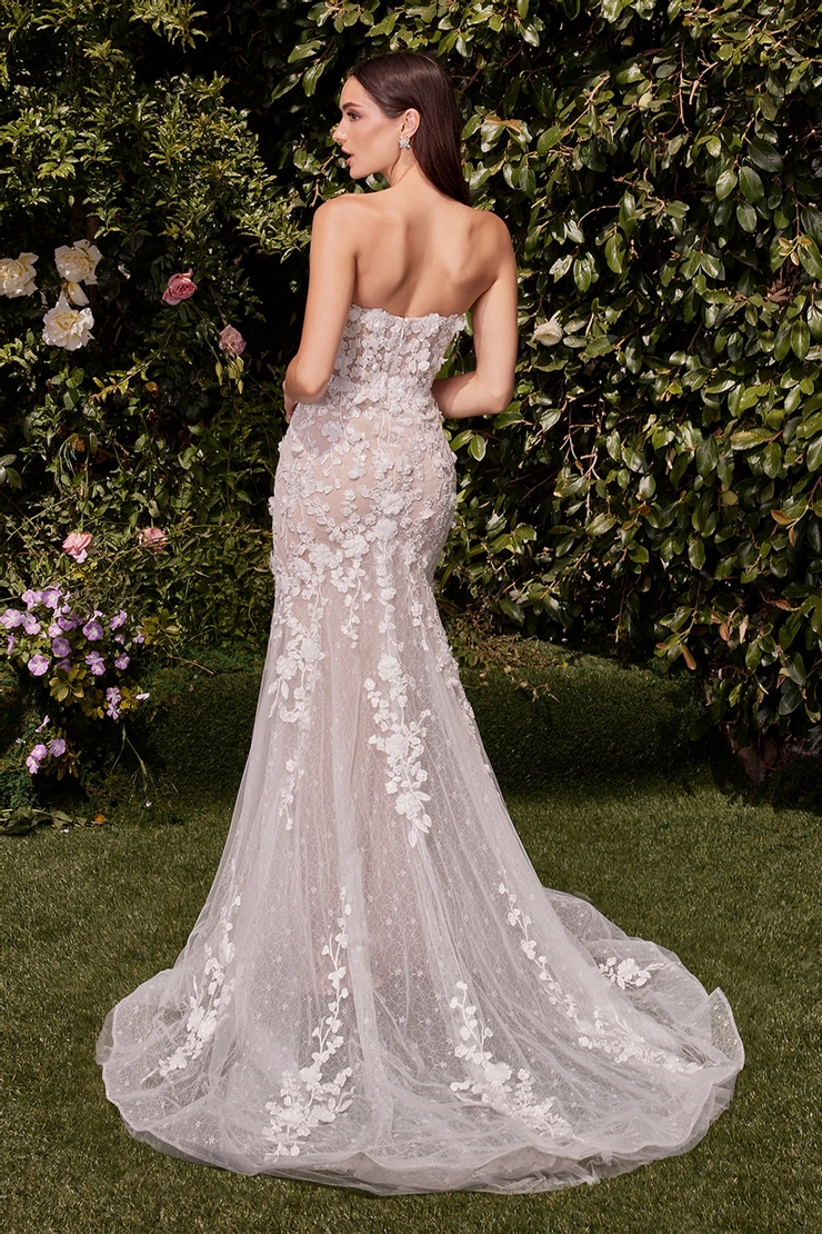 Ladivine by Cinderella Divine Style #CD793W #1 default backface vertical picture