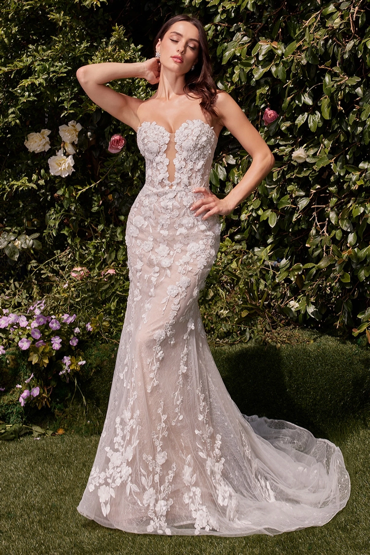 Ladivine by Cinderella Divine Style #CD793W #0 default frontface vertical picture