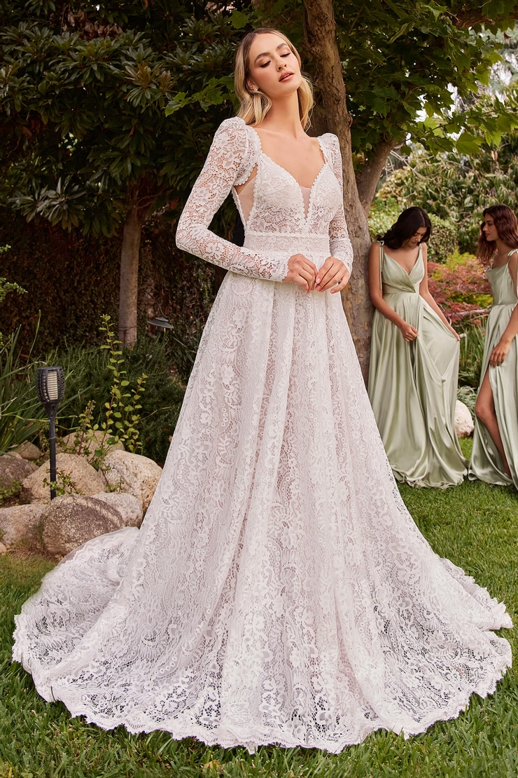 Ladivine by Cinderella Divine Style #CD862W #0 default frontface vertical picture