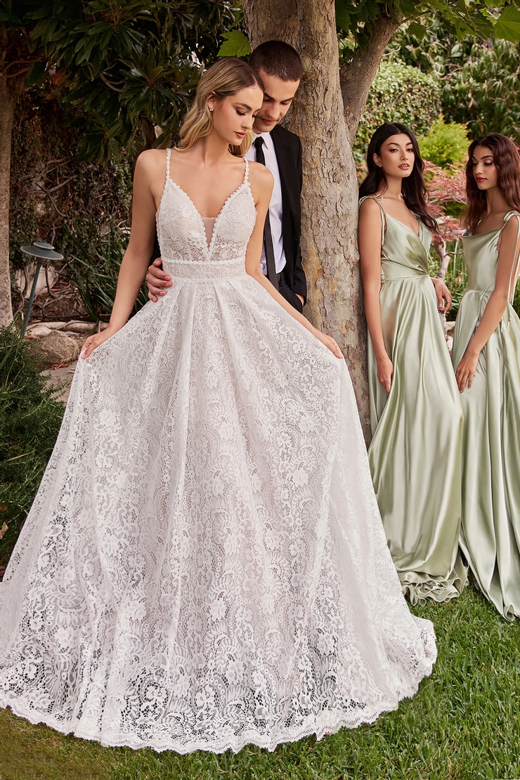 Ladivine by Cinderella Divine Style #CD862W #1 frontface vertical picture