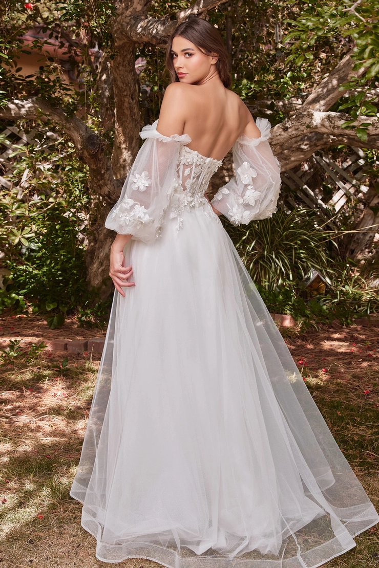Ladivine by Cinderella Divine Style #CD962W #3 default backface vertical picture