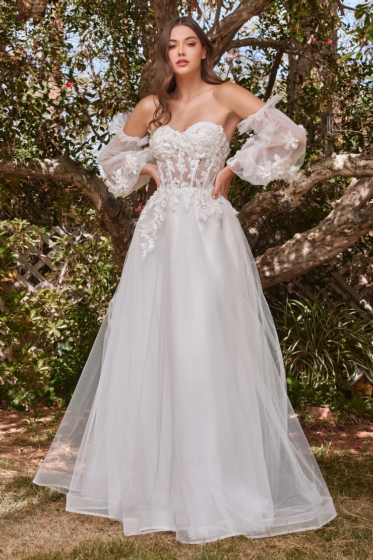 Ladivine by Cinderella Divine Style #CD962W #1 frontface vertical picture