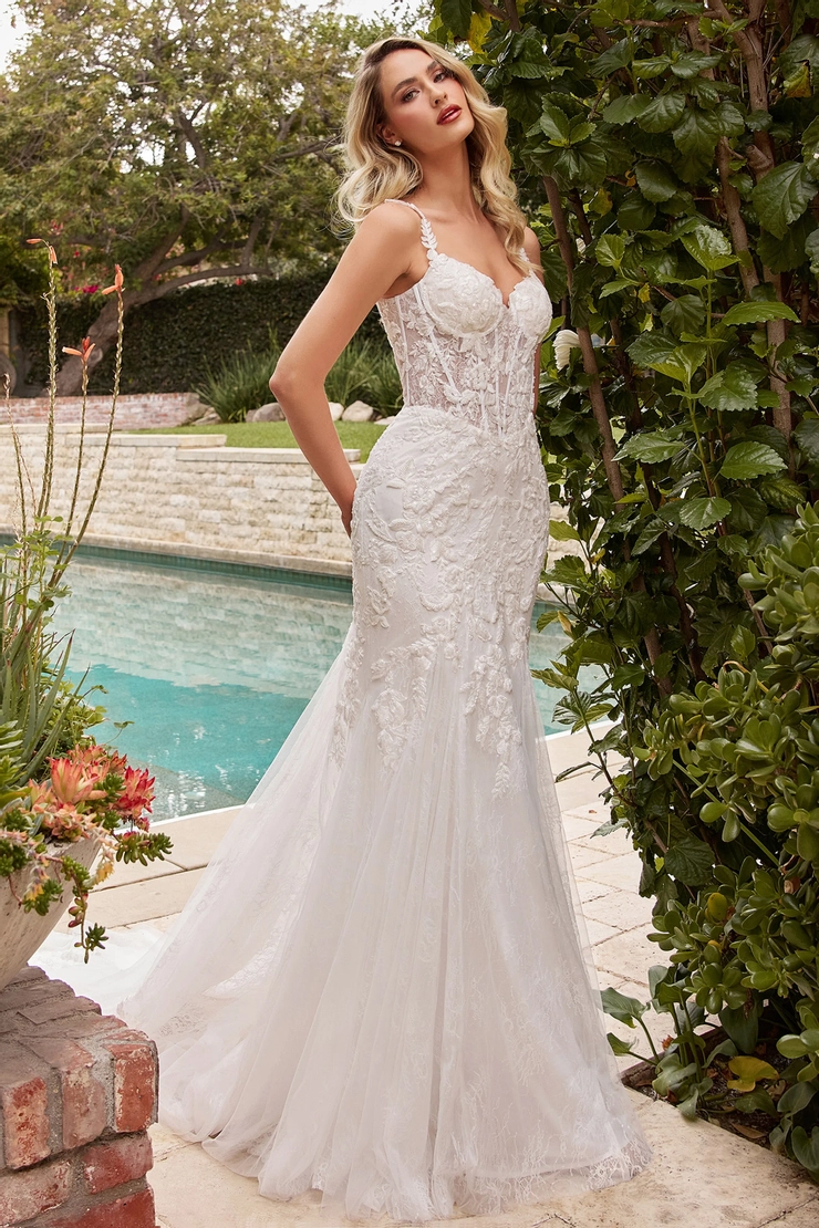 Ladivine by Cinderella Divine Style #CDS432W #1 frontface vertical picture