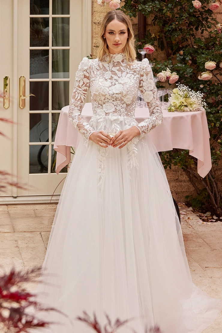 Ladivine by Cinderella Divine Style #CDS433W #0 default frontface vertical picture