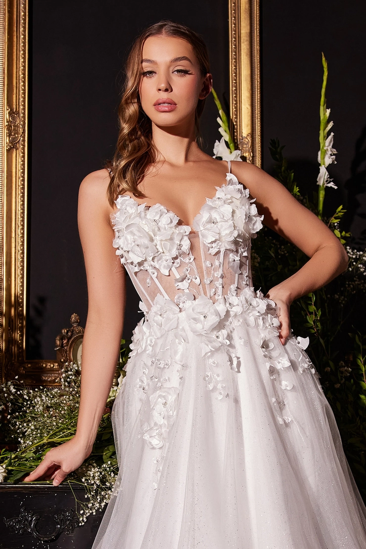 Ladivine by Cinderella Divine Style #CM321W #2 frontface vertical cropped picture