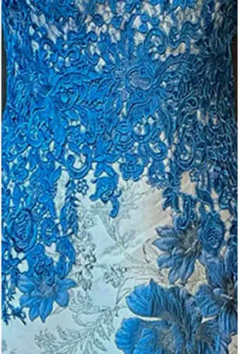 Gia Franco 12111 #1 vertical thumbnail