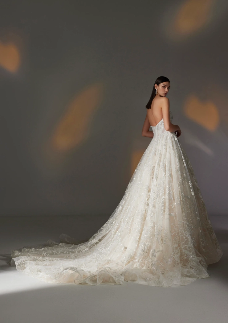Privee by Pronovias Anava