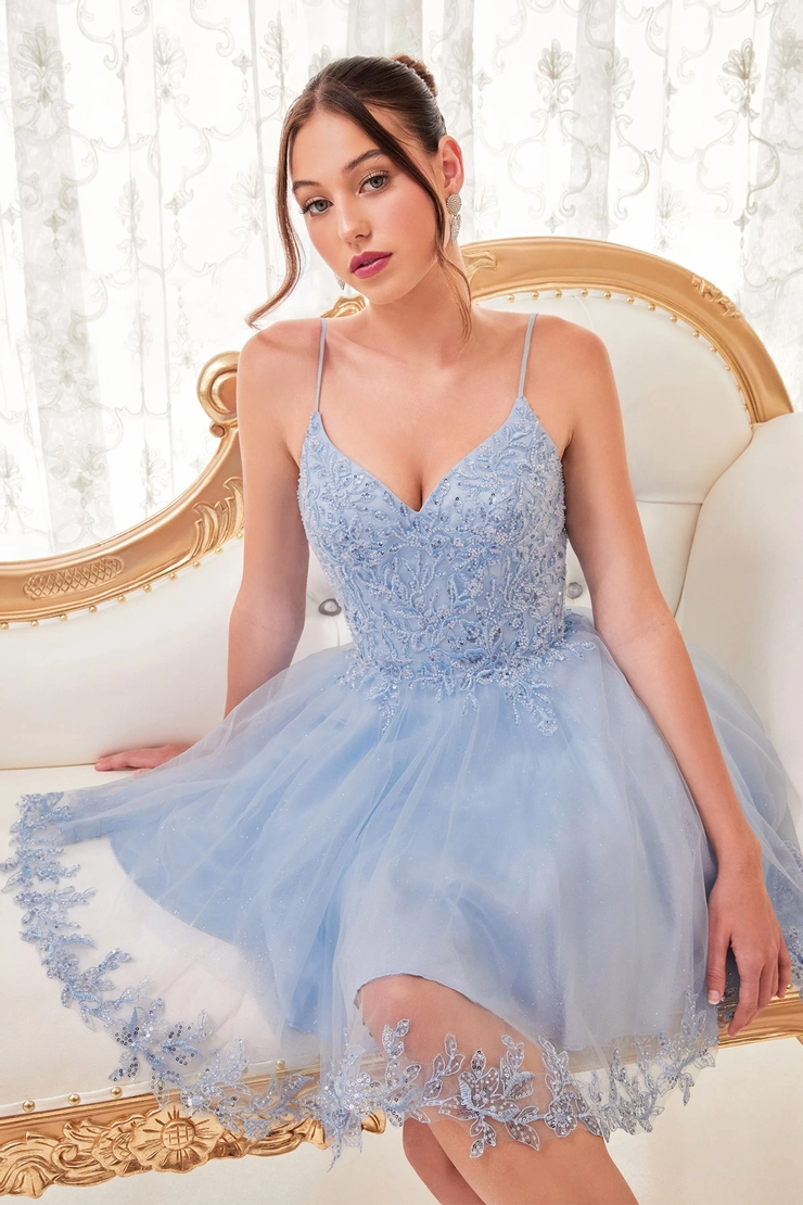 Ladivine by Cinderella Divine Style #CD0213 #14 frontface vertical cropped picture
