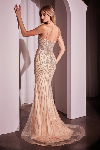 Mayabella Collection Style #P25-114 #3 backface vertical thumbnail