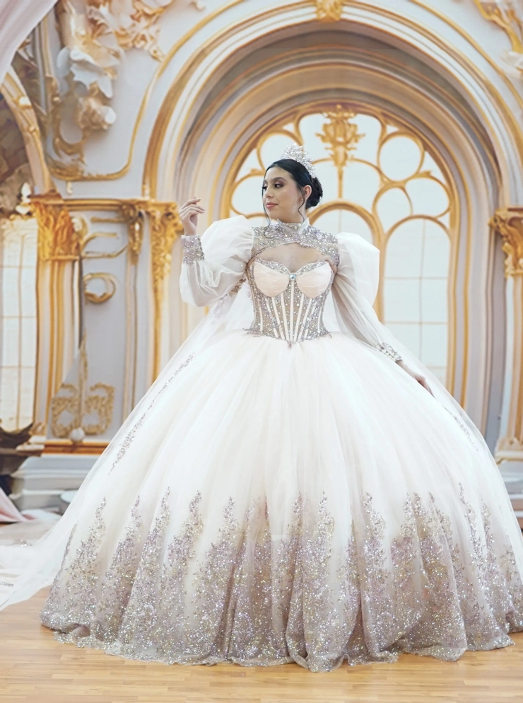 Perfect Dress 15 - AG370 | Princess Paradise Quinceanera Boutique