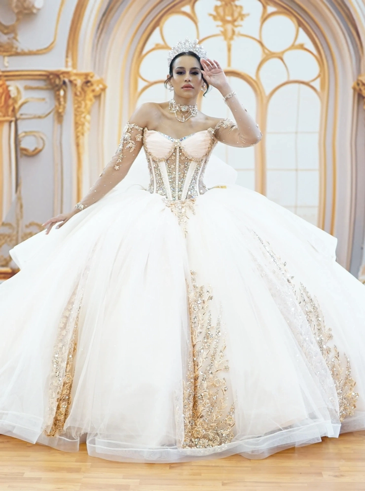 slim fit dress slacks Champagne Lace Applique Quinceanera Dresses Long Sleeve Sweet 15 Dress   vigocouture