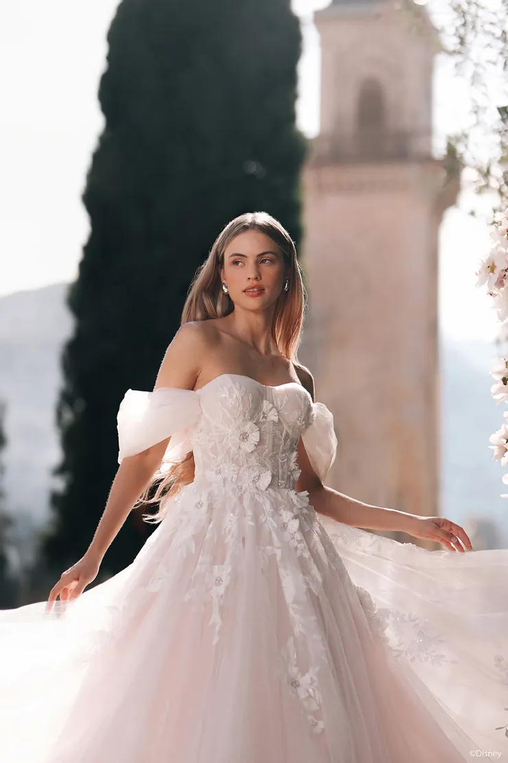 Disney Fairy Tale Weddings D436 - Rapunzel Default Image