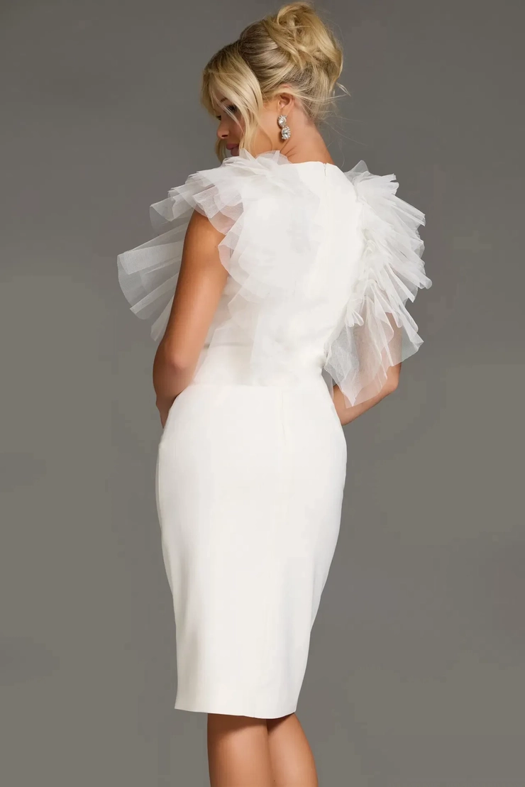 Jovani Style #43152 #5 backface vertical picture