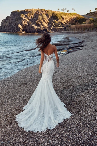 Eddy K Dreams Grazia #4 backface vertical thumbnail