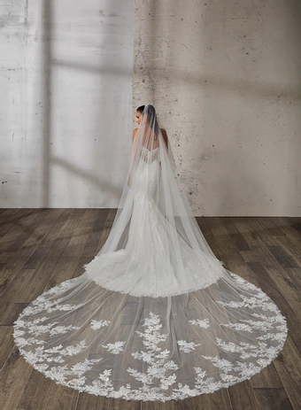 Eddy K Dreams Grazia #3 backface vertical thumbnail