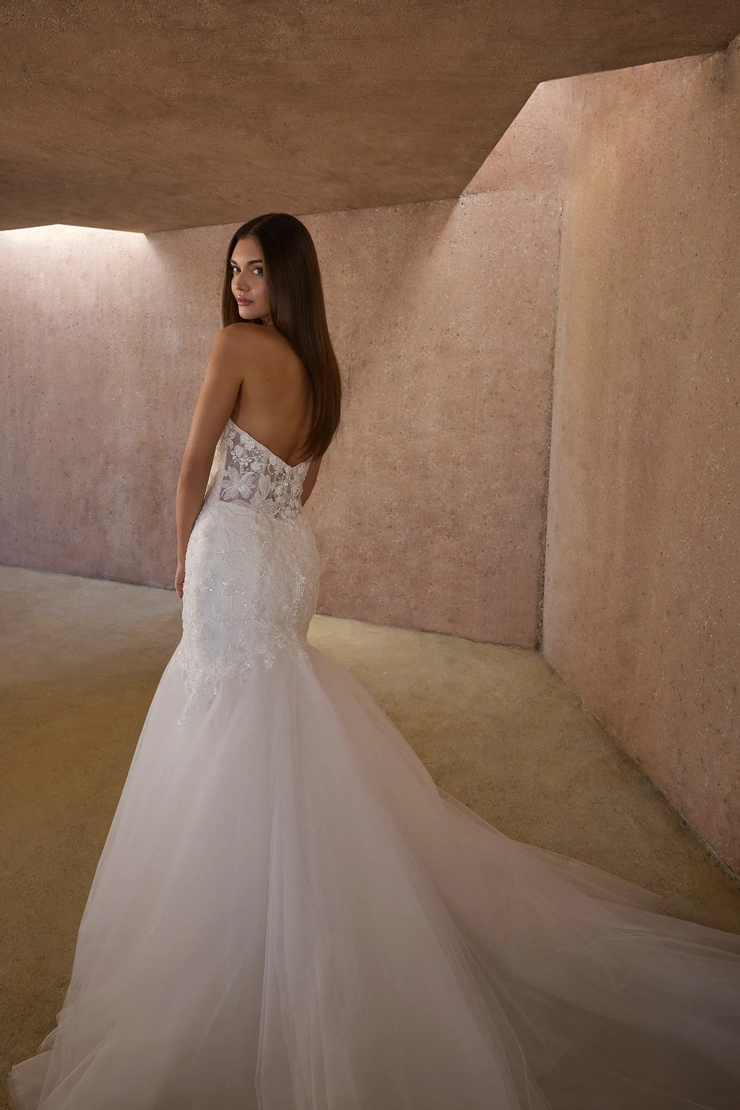 Casablanca #2616 #5 backface vertical cropped picture