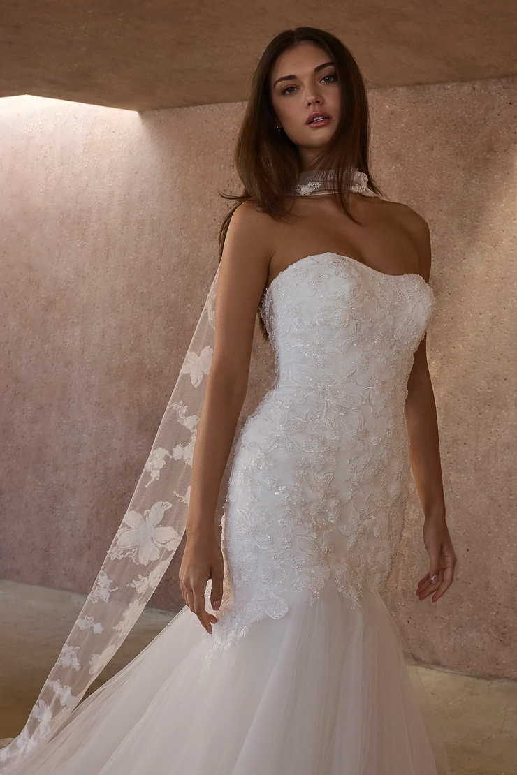 Casablanca #2616 #3 frontface vertical cropped picture