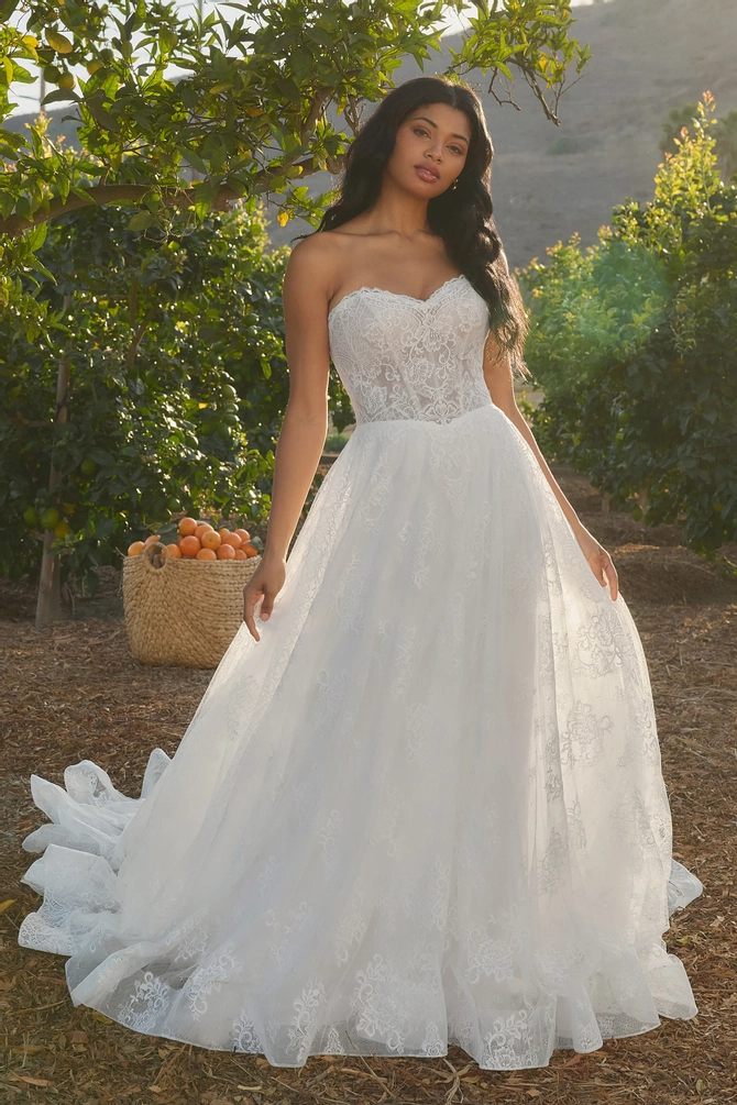 bl482__d_f.670.webp