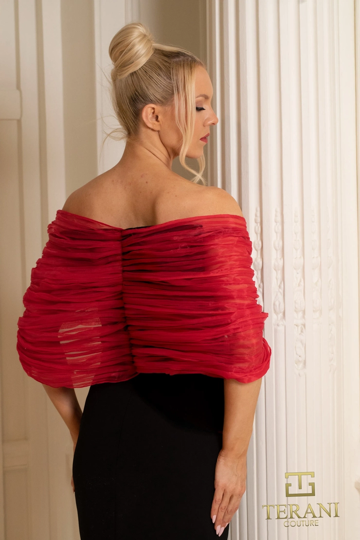 Terani Style #252E5181 #4 backface vertical cropped picture