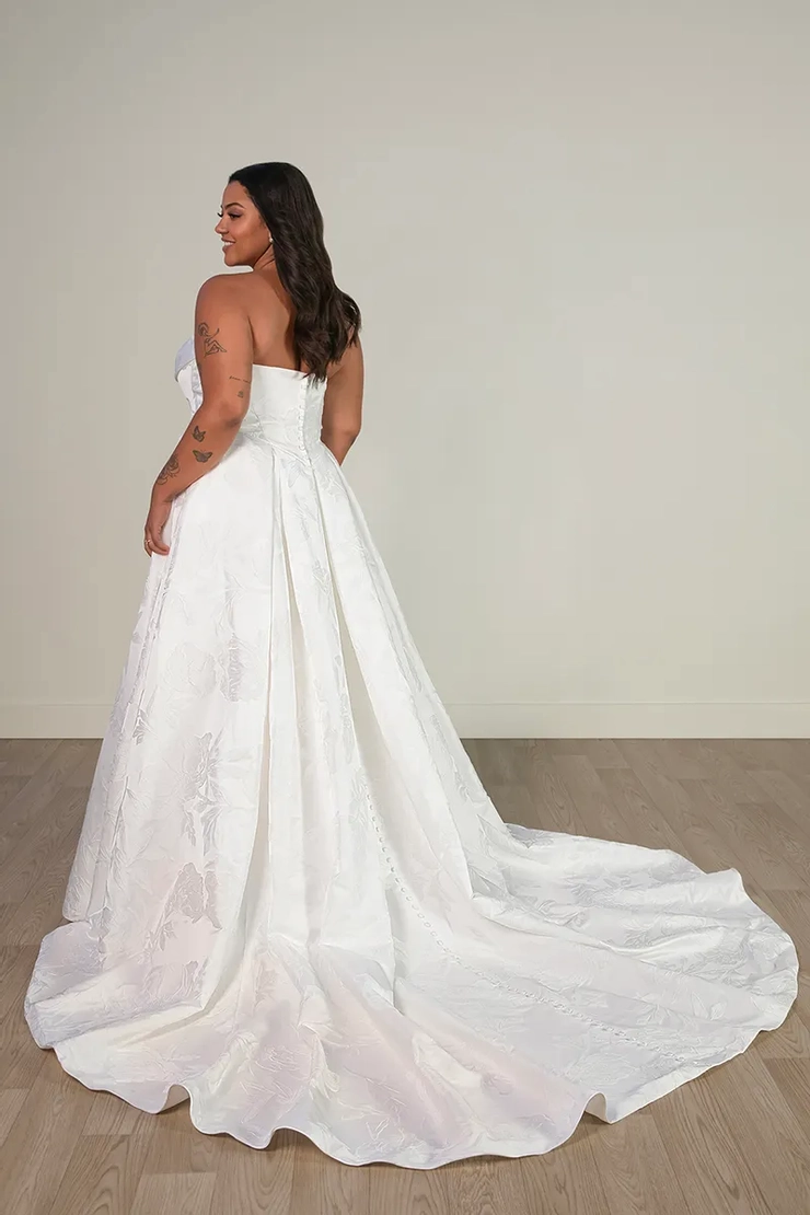 Stella York - 8084 | Della Curva
