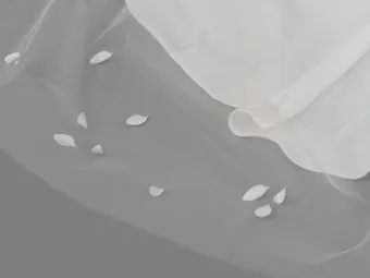 Grace & Goddess AVL0172ZZ IVR #2 thumbnail