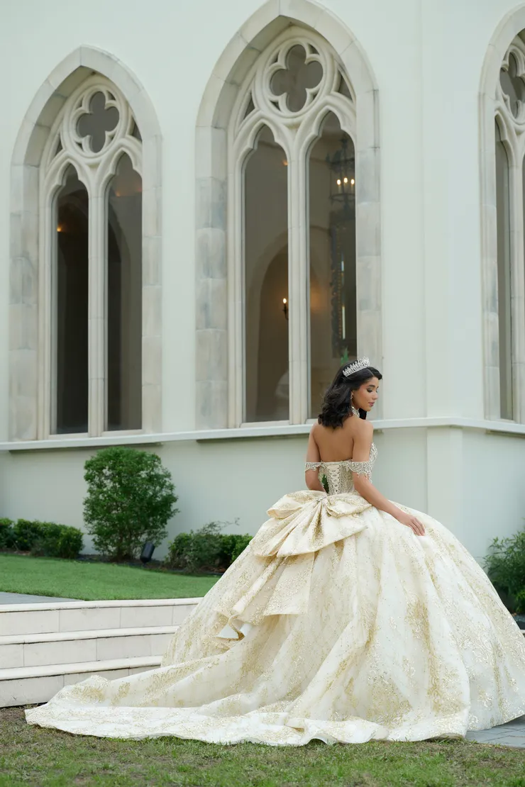 AmaBella Quinceanera Style #Q1052 #1 default Champagne/Gold backface vertical picture