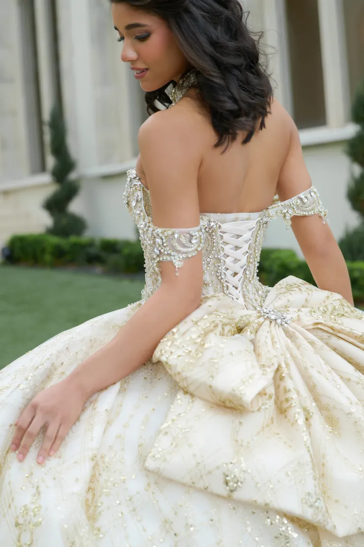 AmaBella Quinceanera Style #Q1052 #16 backface vertical cropped picture