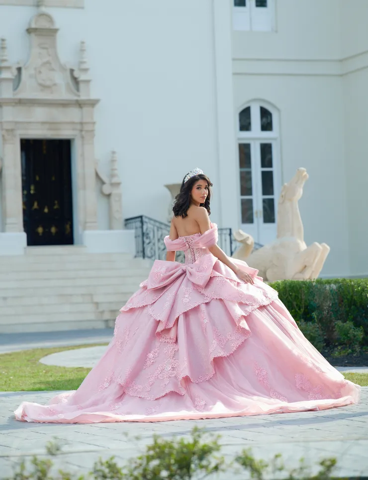 AmaBella Quinceanera Style #Q1054 #1 Dusty Rose backface vertical picture
