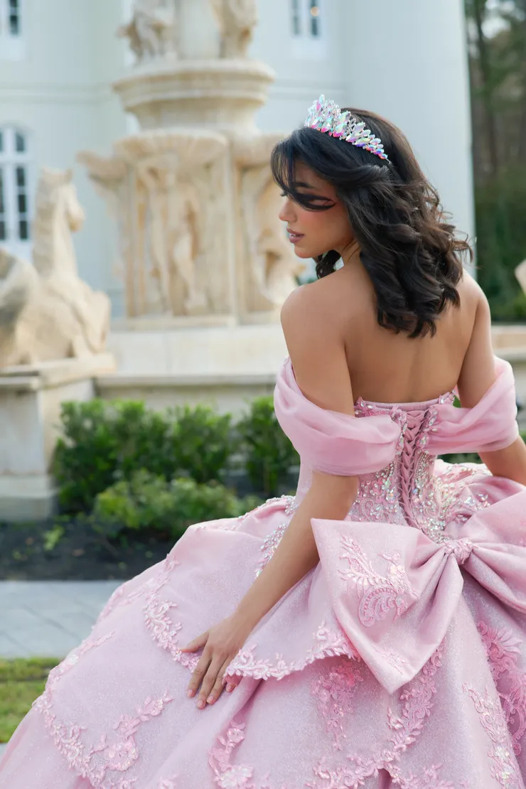 AmaBella Quinceanera Style #Q1054 #19 backface vertical cropped picture