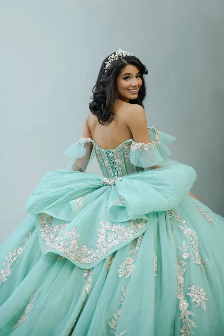 AmaBella Quinceanera Style #Q1057 #15 backface vertical cropped picture