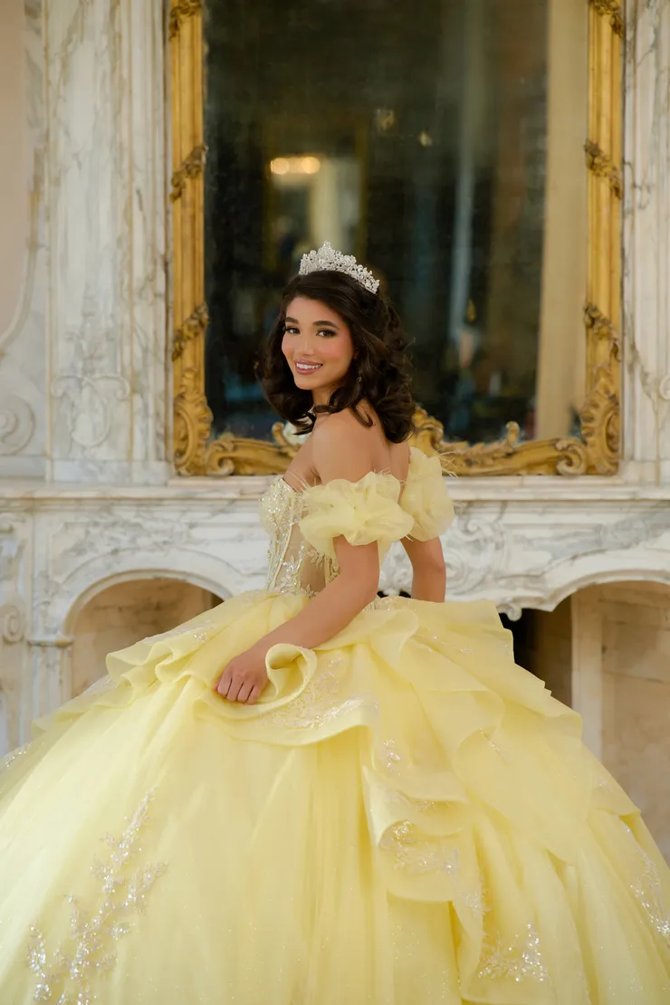 AmaBella Quinceanera Style #Q1064 #17 backface vertical cropped picture