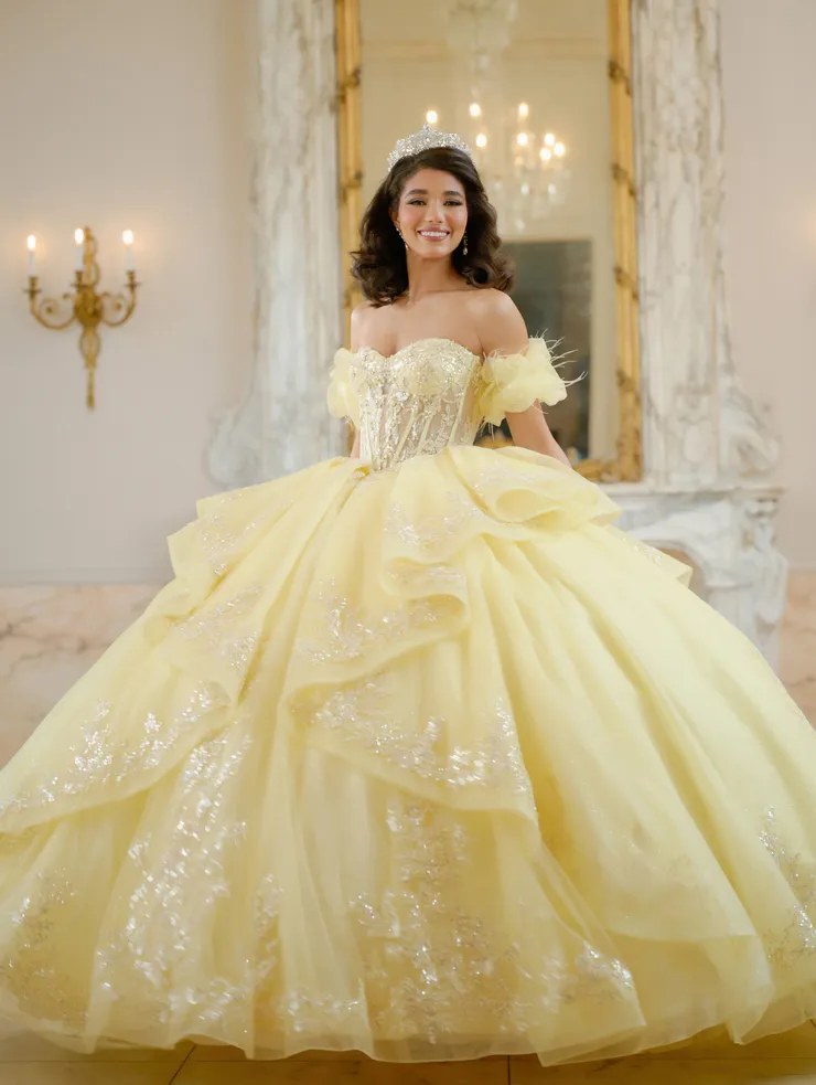 AmaBella Quinceanera Style #Q1064 #1 frontface vertical picture