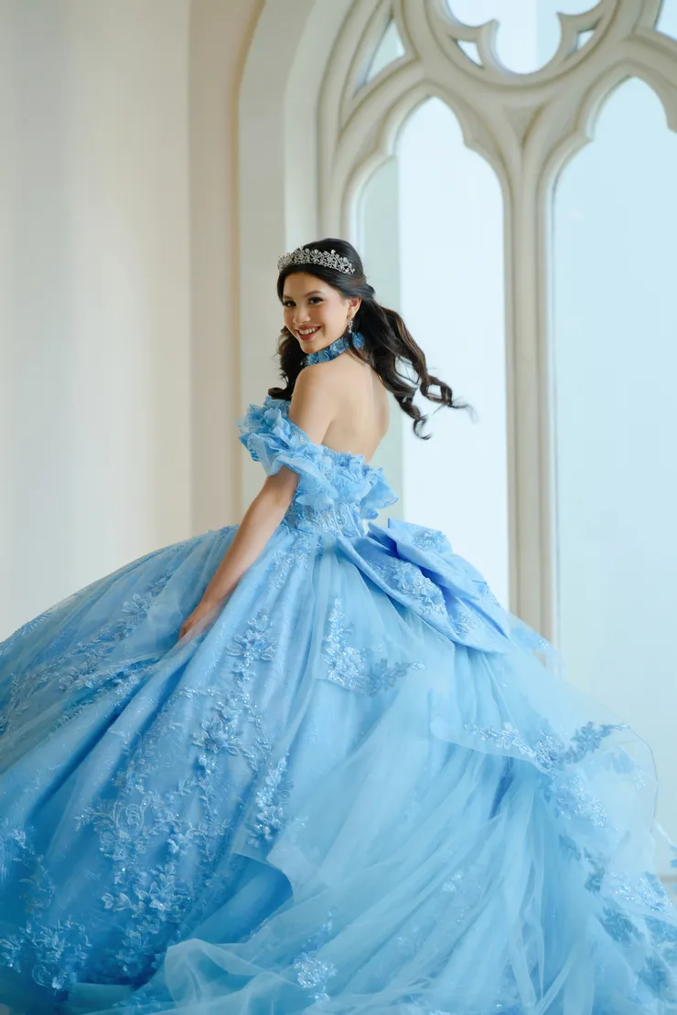 AmaBella Quinceanera Style #Q1065 #16 backface vertical cropped picture