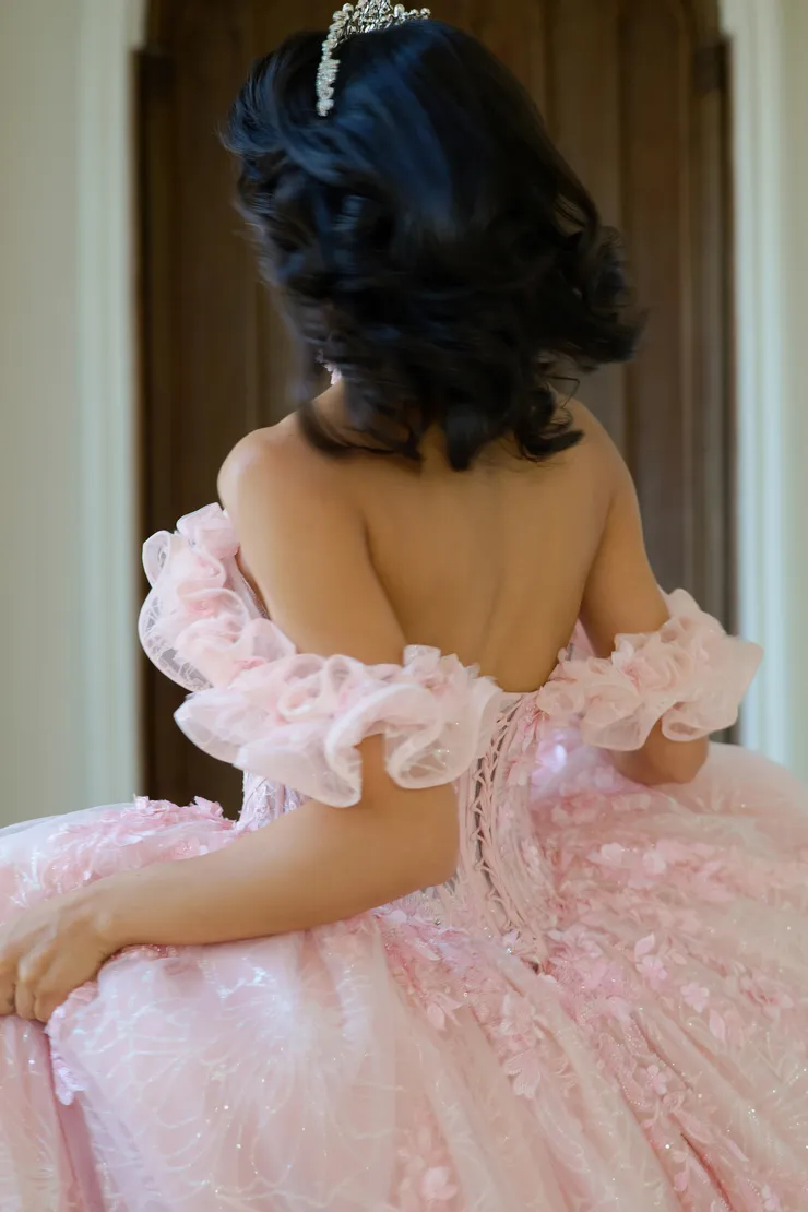 AmaBella Quinceanera Style #Q1065 #1 Blush backface vertical cropped picture