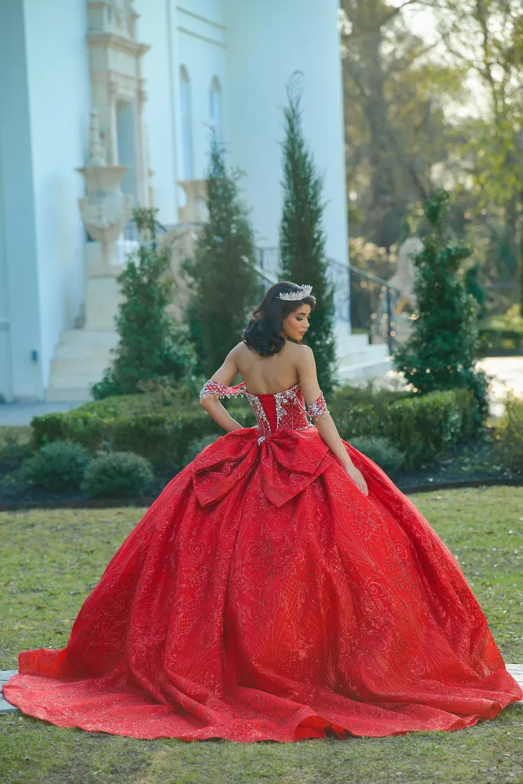 AmaBella Quinceanera Style #Q1066 #1 Red backface vertical picture