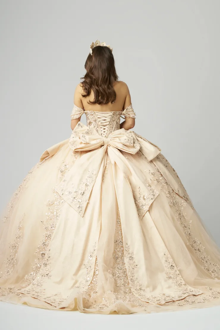 AmaBella Quinceanera Style #QA155 #1 default backface vertical picture