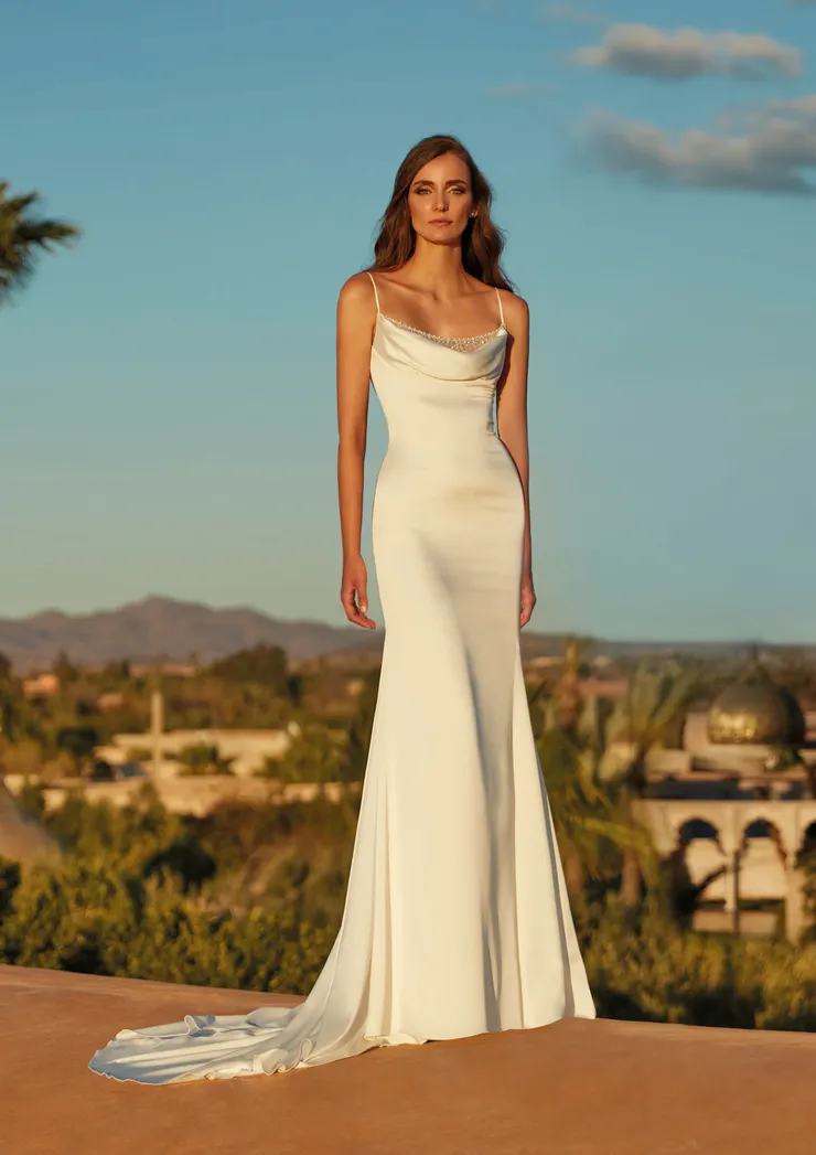 Pronovias Ash Image