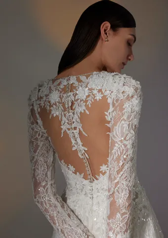Pronovias Ameri #3 backface vertical cropped thumbnail