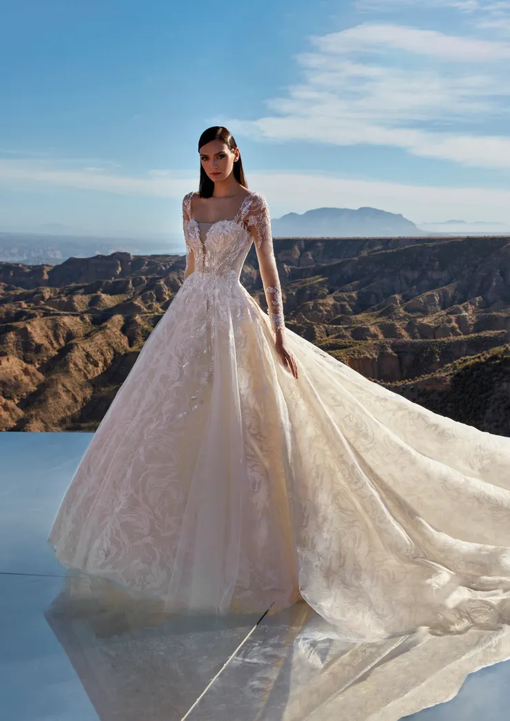 Pronovias Platinum Image