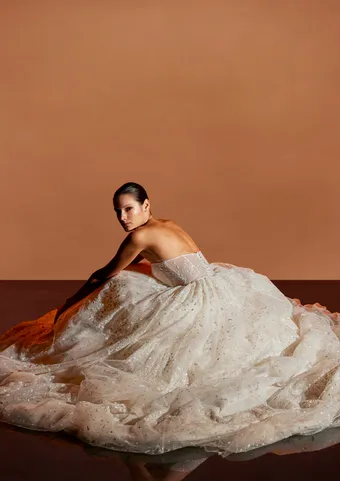 Pronovias Taj #2 default backface vertical thumbnail