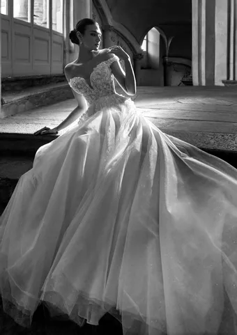 Pronovias Turmalin #1 frontface vertical thumbnail