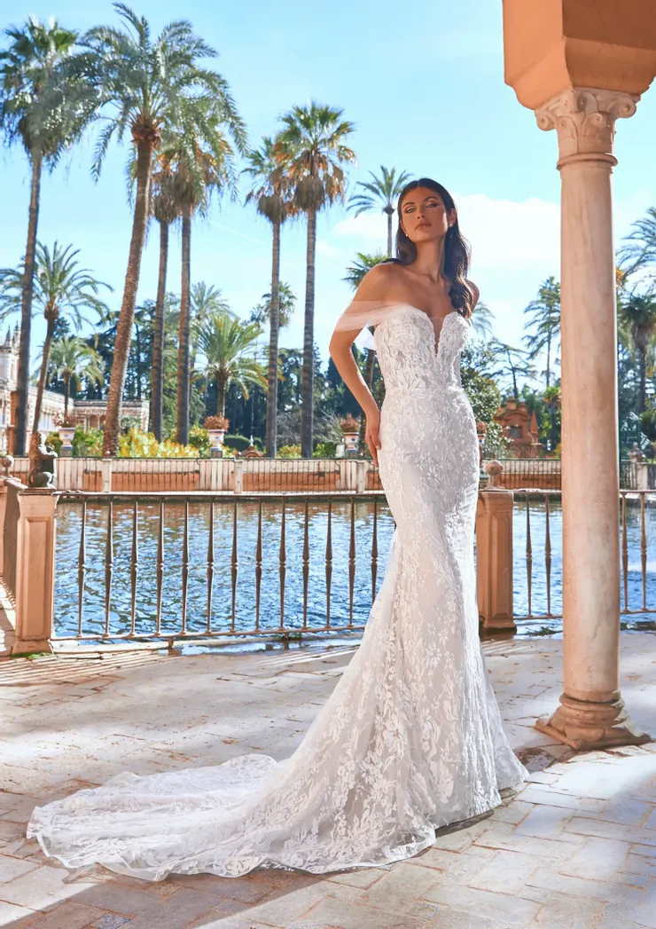 Pronovias Havasu Image