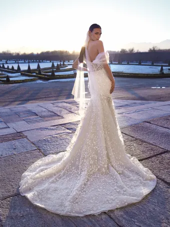 Pronovias Emilia #2 default backface vertical thumbnail