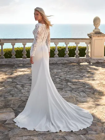 Pronovias DARYNA #1 default backface vertical thumbnail