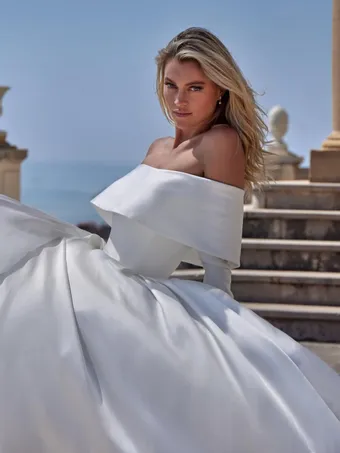 Pronovias DELVINE #2 frontface vertical cropped thumbnail