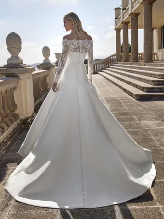 Pronovias Style #GLENA #2 default backface vertical thumbnail