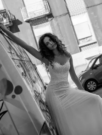 Wona Concept Sol #2 frontface vertical cropped thumbnail